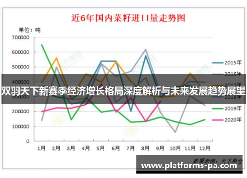 双羽天下新赛季经济增长格局深度解析与未来发展趋势展望