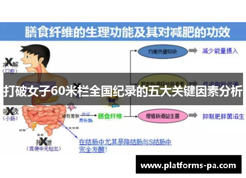 打破女子60米栏全国纪录的五大关键因素分析