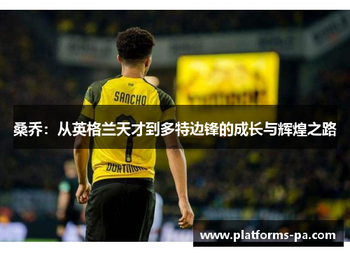 桑乔：从英格兰天才到多特边锋的成长与辉煌之路