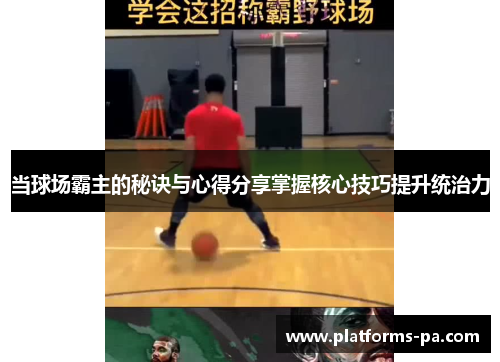 当球场霸主的秘诀与心得分享掌握核心技巧提升统治力