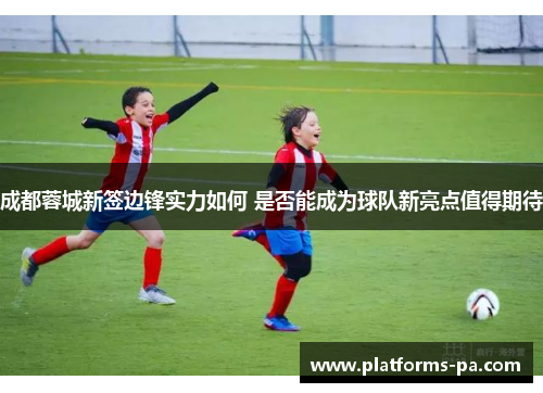 成都蓉城新签边锋实力如何 是否能成为球队新亮点值得期待