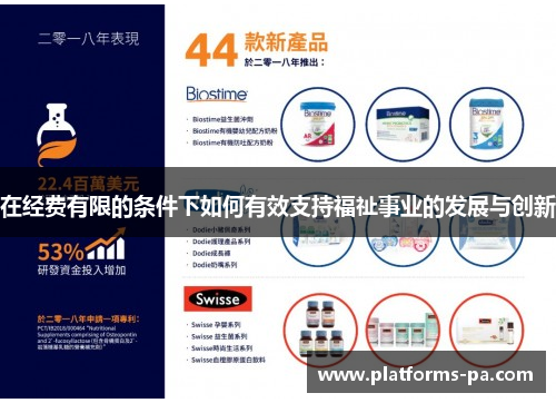在经费有限的条件下如何有效支持福祉事业的发展与创新