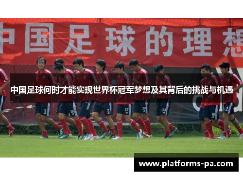 中国足球何时才能实现世界杯冠军梦想及其背后的挑战与机遇