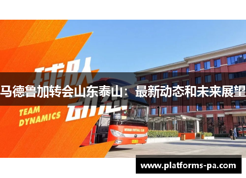 马德鲁加转会山东泰山:最新动态和未来展望 马德鲁加转会山东泰山:最新动态和未来展望