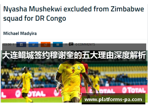 大连鲲城签约穆谢奎的五大理由深度解析