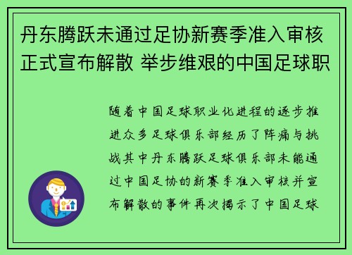 丹东腾跃未通过足协新赛季准入审核正式宣布解散 举步维艰的中国足球职业化困境再现 丹东腾跃未通过足协新赛季准入审核正式宣布解散 举步维艰的中国足球职业化困境再现